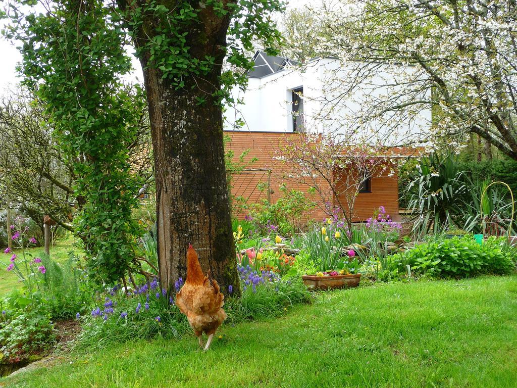 Bed and Breakfast Le Jardin Aux Oiseaux Férel Pokoj fotografie